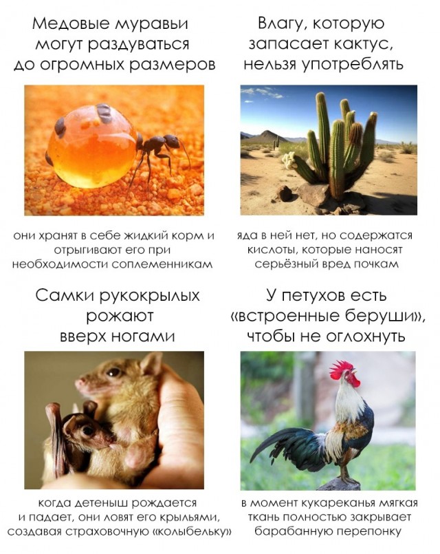Всячина