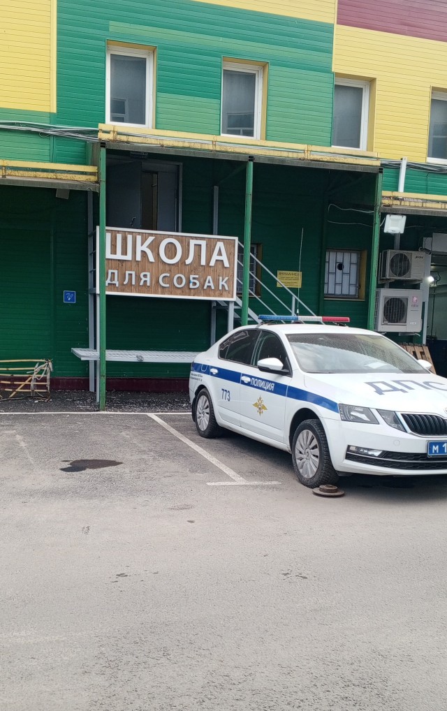 «С@ка, мент!»