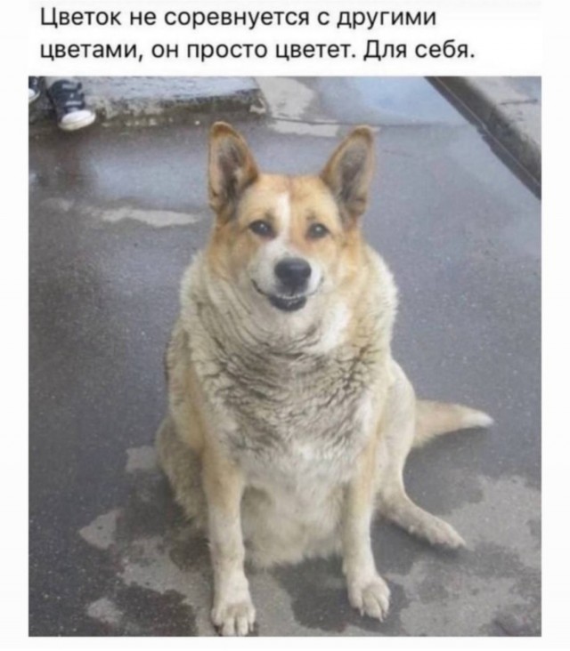 Нимношка картинкоф на субботу