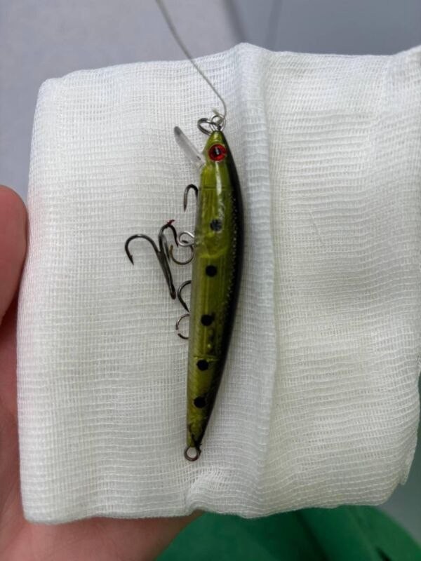 В Подмосковье мальчик пошёл на рыбалку и на рыболовный воблер »поймал» собственное лицо