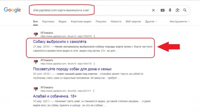 Рви меха или как перестать постить баяны на ЯП