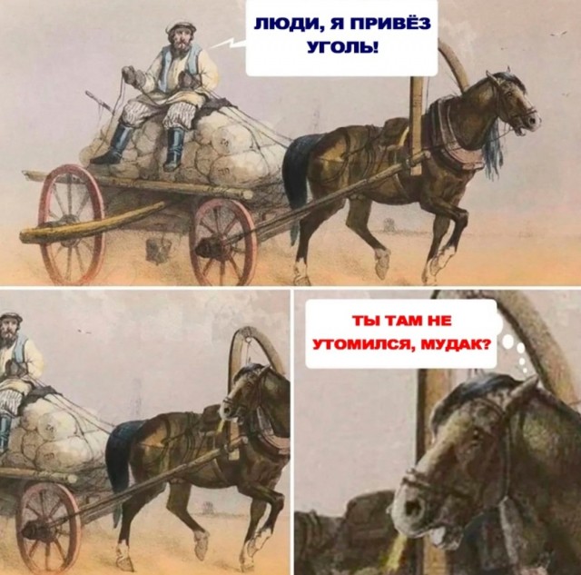Картинки для деградации 33 (разной степени свежести)