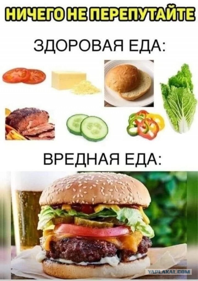 Голодный москвич сделал заказ из более 200 блюд во «Вкусно — и точка» и поставил рекорд