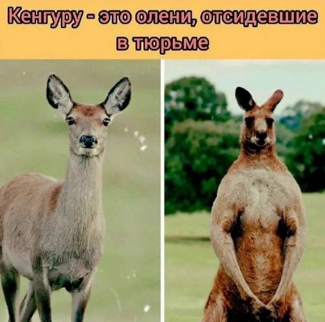 Субботние картинки