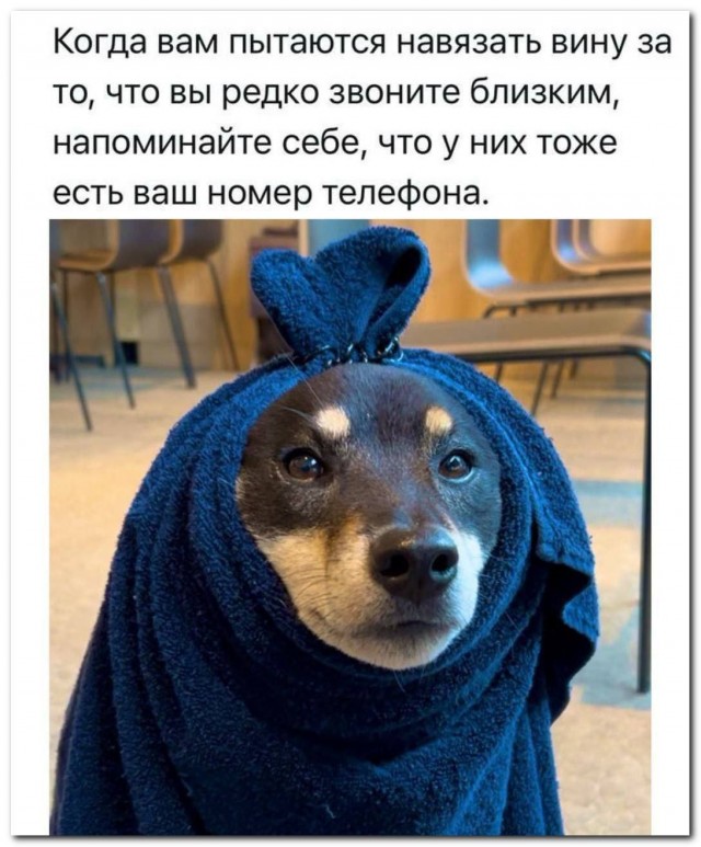 Хехех, шах и мат⁠⁠
