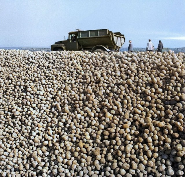Фотографии из прошлого нашей страны – 139