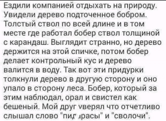 Так себе картинки 26.03.26