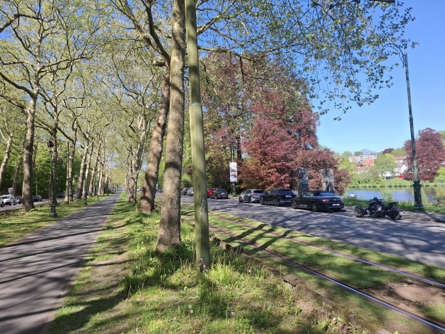 Немного природы Бельгии.