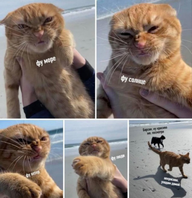 Мемчики