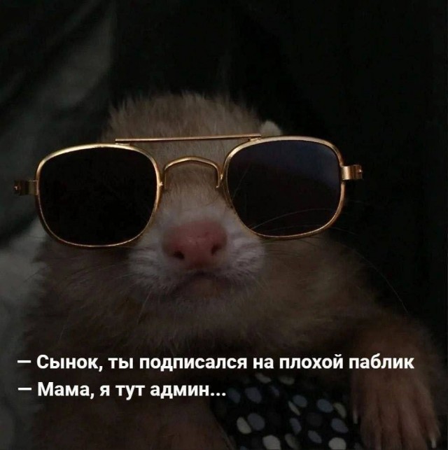 Картинки для деградации 250 (разной степени свежести)