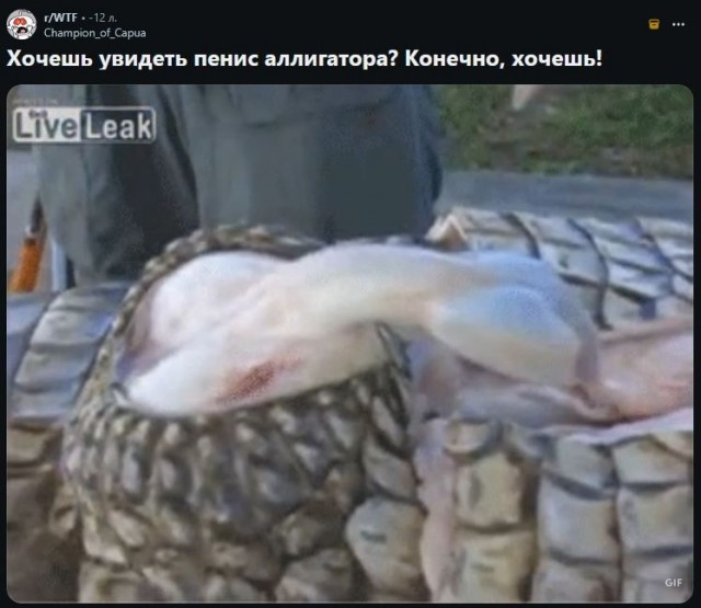 Кое что о крокодиле Гене (18+)
