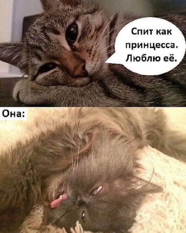 Субботние аккордеоны