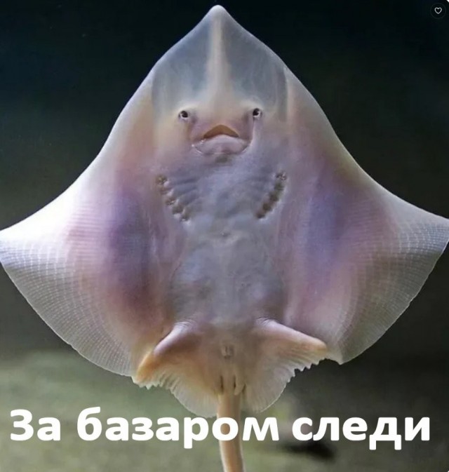В Москве девушка не уступила автомобилисту дорогу. Он остановил машину и ударил водительницу.