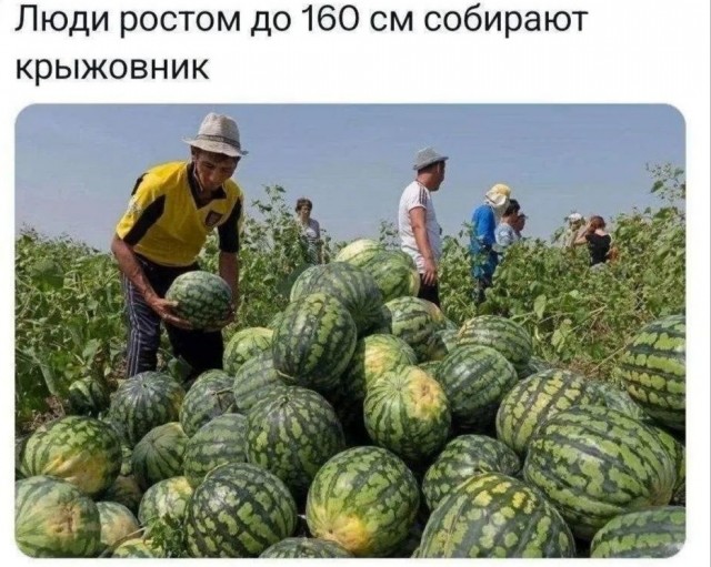 Сегодня отмечается Международный день гнома