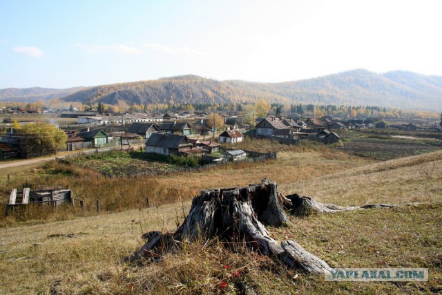 Сибирь настоящая