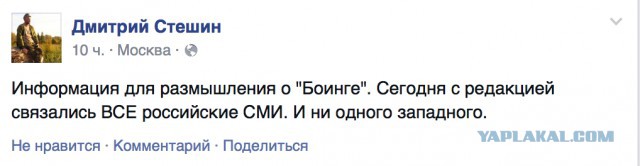 Секретный свидетель гибели малайзийского боинга