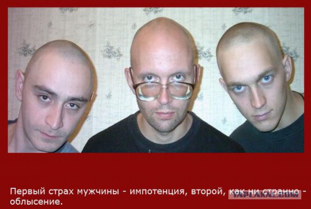 20 фактов обо всем