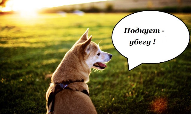 Карета подана