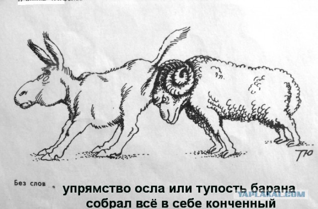 Обгон