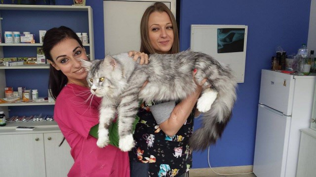 Выпросила у мамы кусочек яичницы...