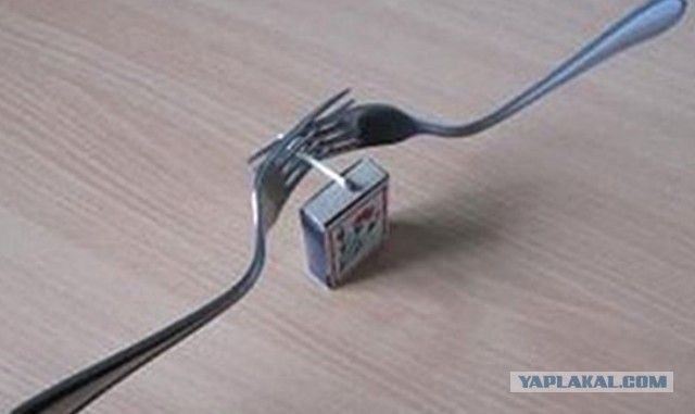 Забавные факты о русском языке