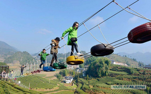 Картинки + гифки.