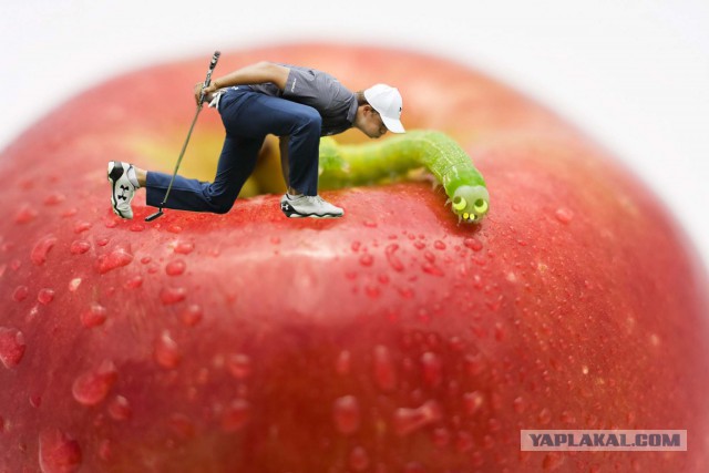 Фотожаба "Гольфист, вдуватель" оригинал+жабы