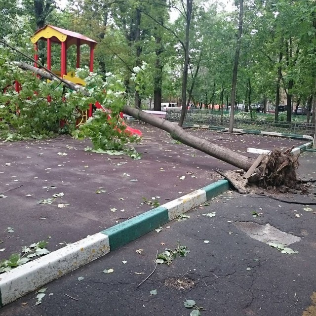 Сильная гроза в Москве и ее последствия