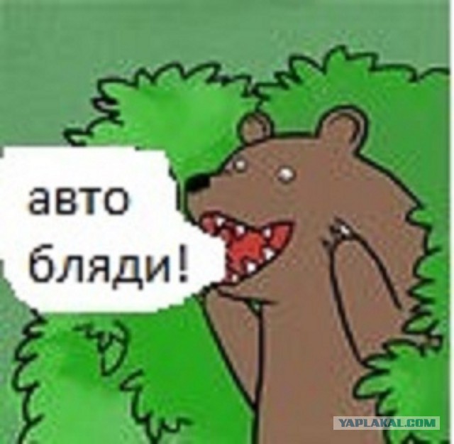 Блондинка в Воронеже на встречке разбила каблуком лобовое стекло