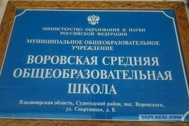 Подборка веселых картинок с тырнета
