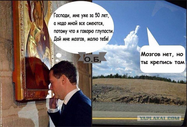 Дружное ржание над Димоном