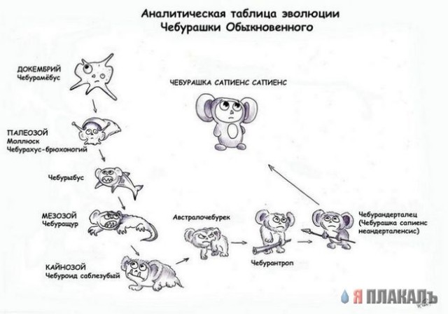 Происхождение Чебурашки