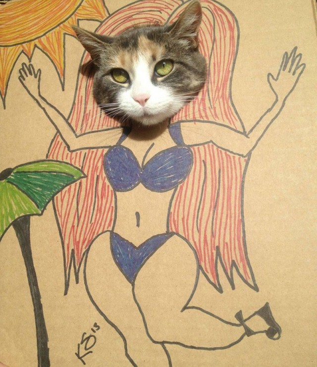 Порция картинок