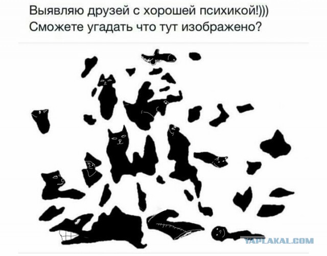Голову сломал уже