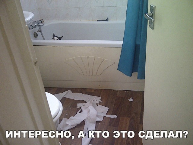 Подборка безудержного веселья