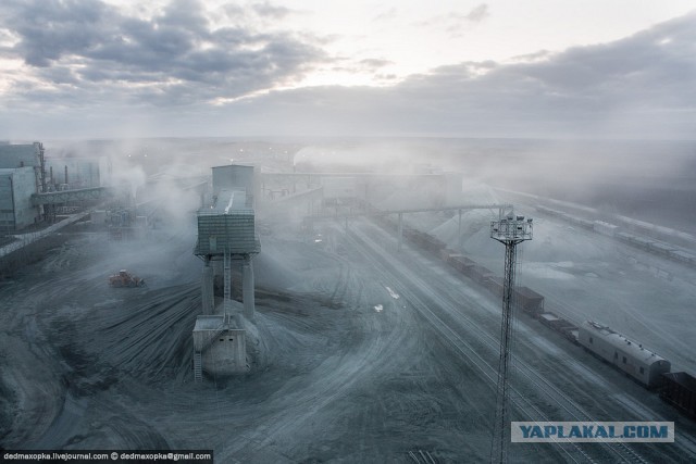 Подборка фотографий