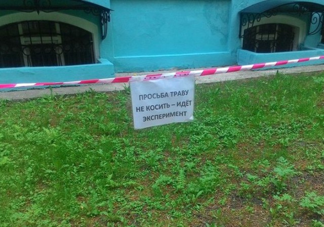 Смешные картинки
