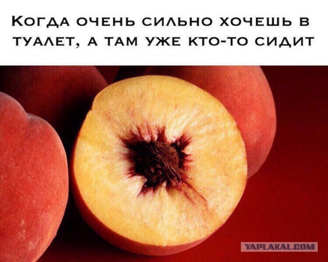Не очень адекватный юмор