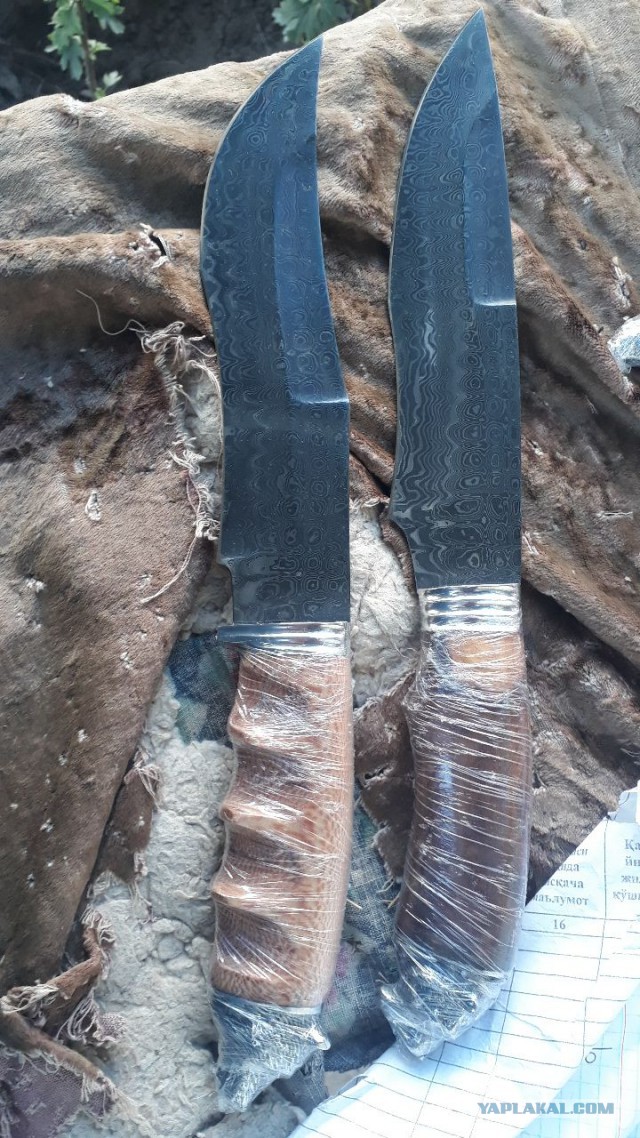 Продам Пчаки