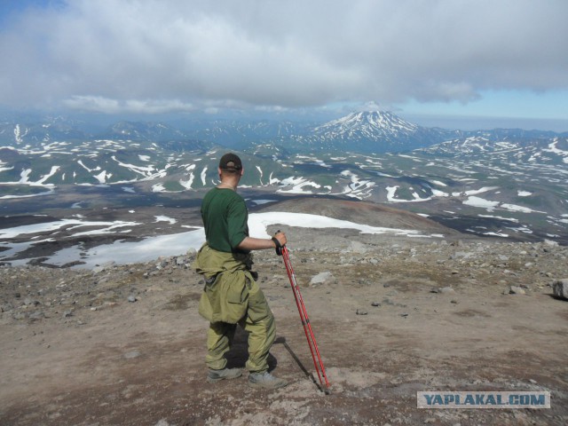 Камчатка. Природный парк Ключевской группы вулканов.