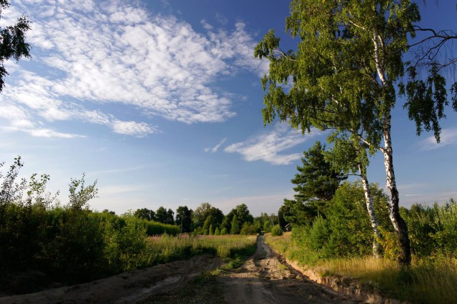 Красота сельских дорог
