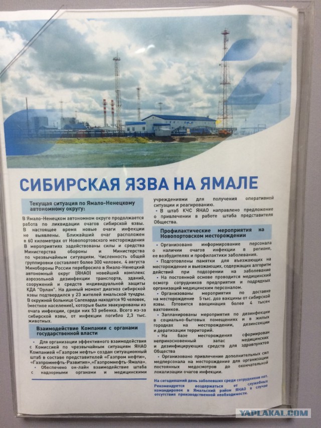 Полуостров Ямал - олений край и ненцы