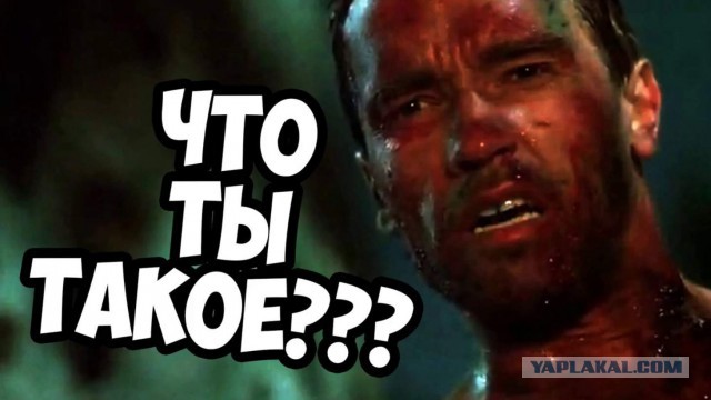 Какой-то мужчина напал на Арнольда Шварцнеггера во время мероприятия в городе Сэндтон (Южная Африка).