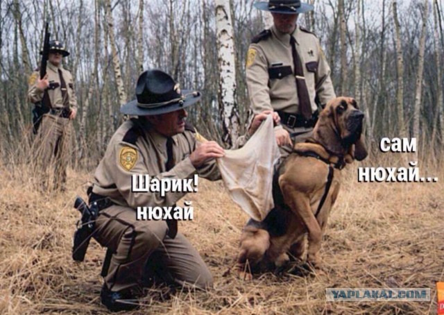 Картинки с надписями, истории и анекдоты 08.10.19