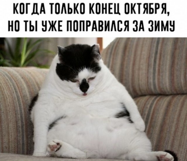 Немного картинок для настроения 25.10.19