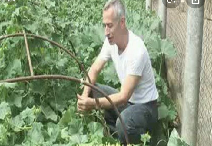ОПЕК и мы. С очередной многоходовочкой вас, сограждане!