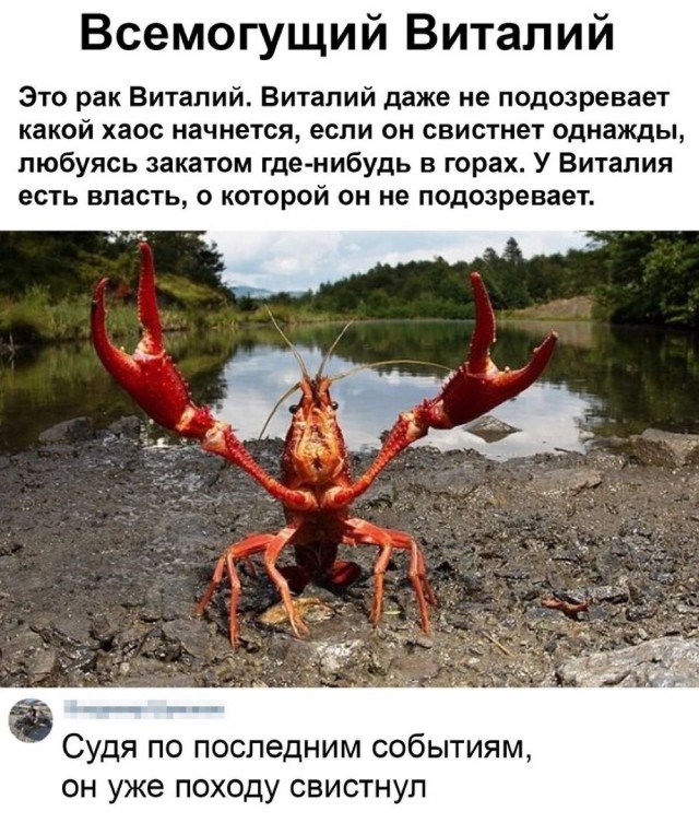 Так себе картинки 17.05.20
