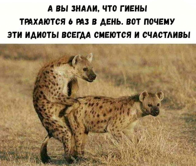 Немного картинок для настроения 04.06.20