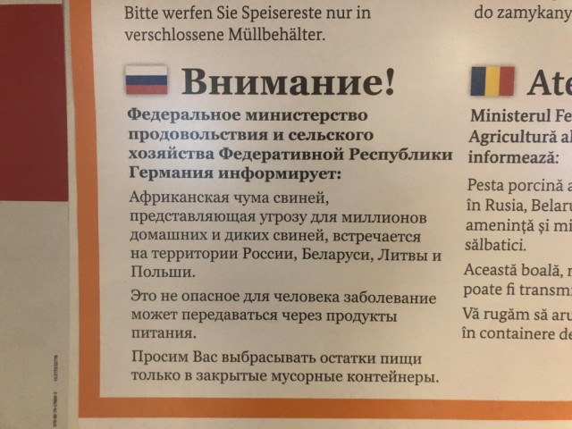 Мемуары Программиста: Весна. 2020 год. Побег из Мальты