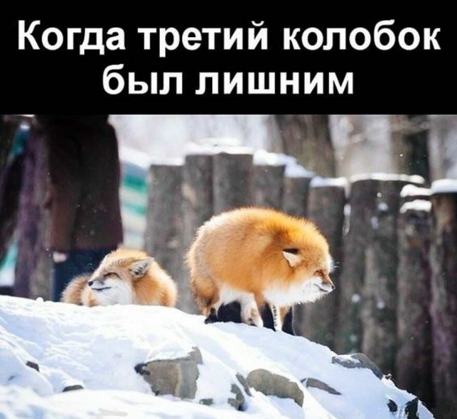 Всякие картинки и буквы
